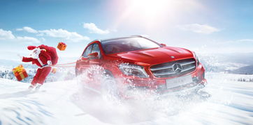 遼寧之星汽車銷售 專業(yè)服務與品質(zhì)承諾